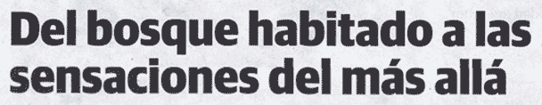Del bosque habitado a las sensaciones del m&aacute;s all&aacute;